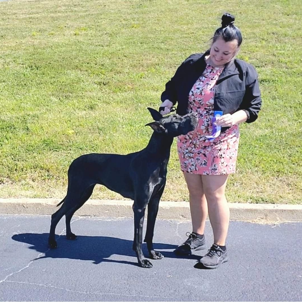 Meet your Posher, Kennedy